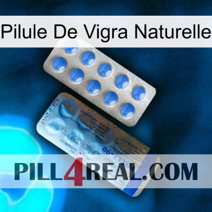 Natural Vigra Pill 40